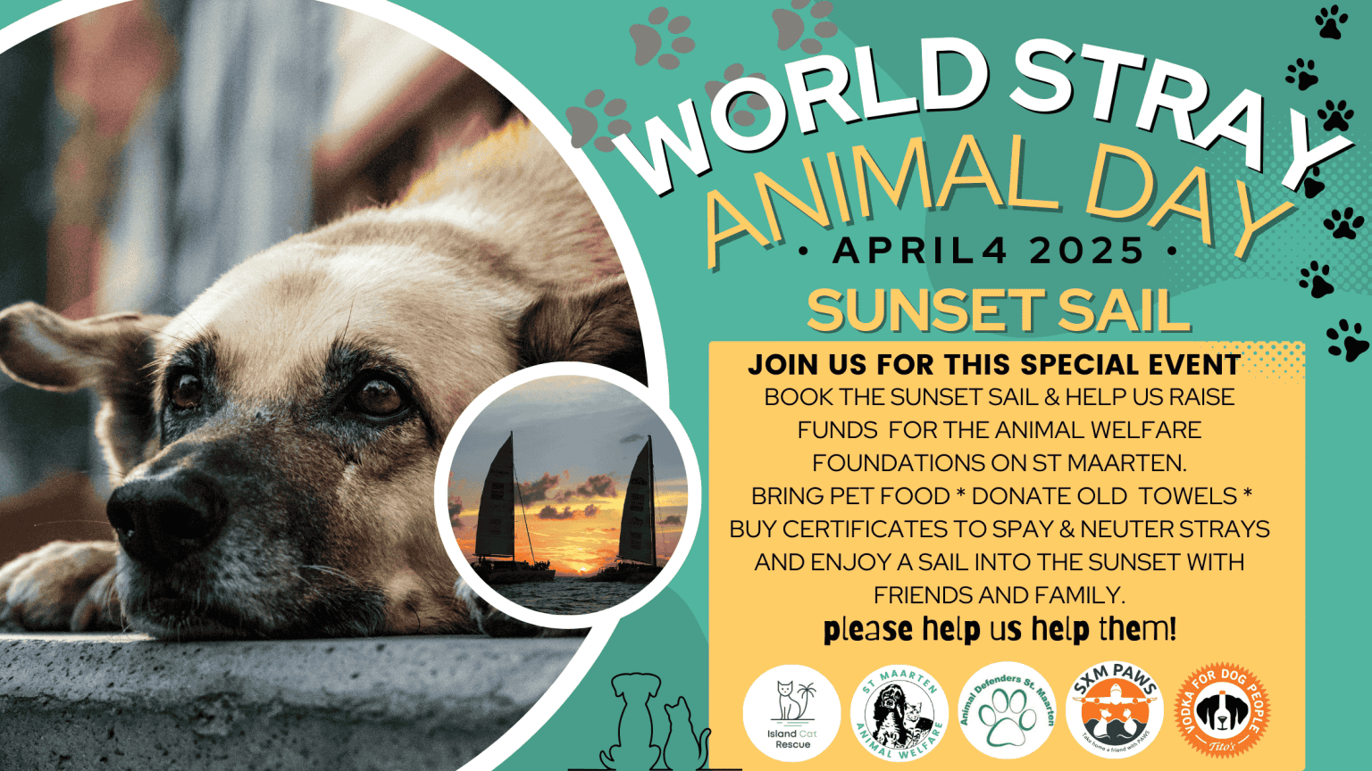 world stray animal day sunset sail
